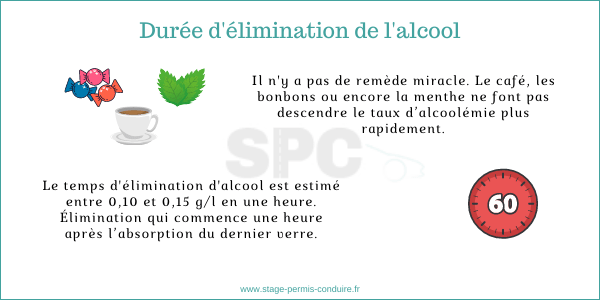 Durée d'élimination de l'alcool dans le sang.