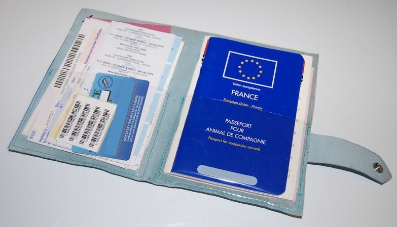 Passeport pour animaux de compagnie.