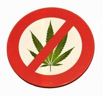 Interdiction cannabis